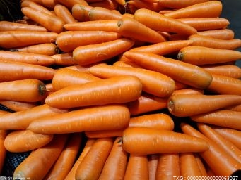 冬天怎样储存白菜胡萝卜 教你存出好处萝卜