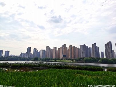 江北新区基地第300万台建议机下线 增长建议机高品质睁开