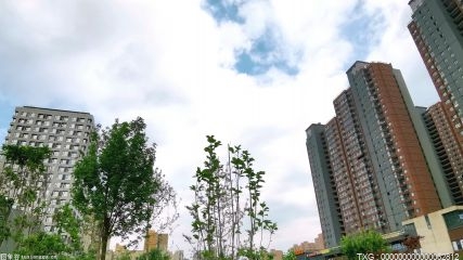 与树为友——薛城区荒山造林绿化工程6处