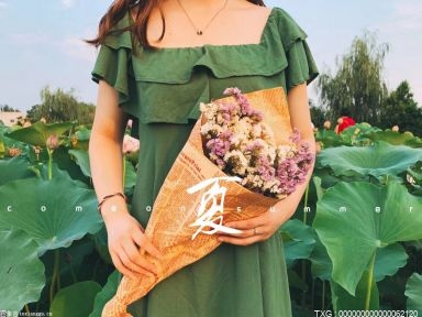 促进花卉产品消费 北京丰台区推出20余项“花+”特色文化活动